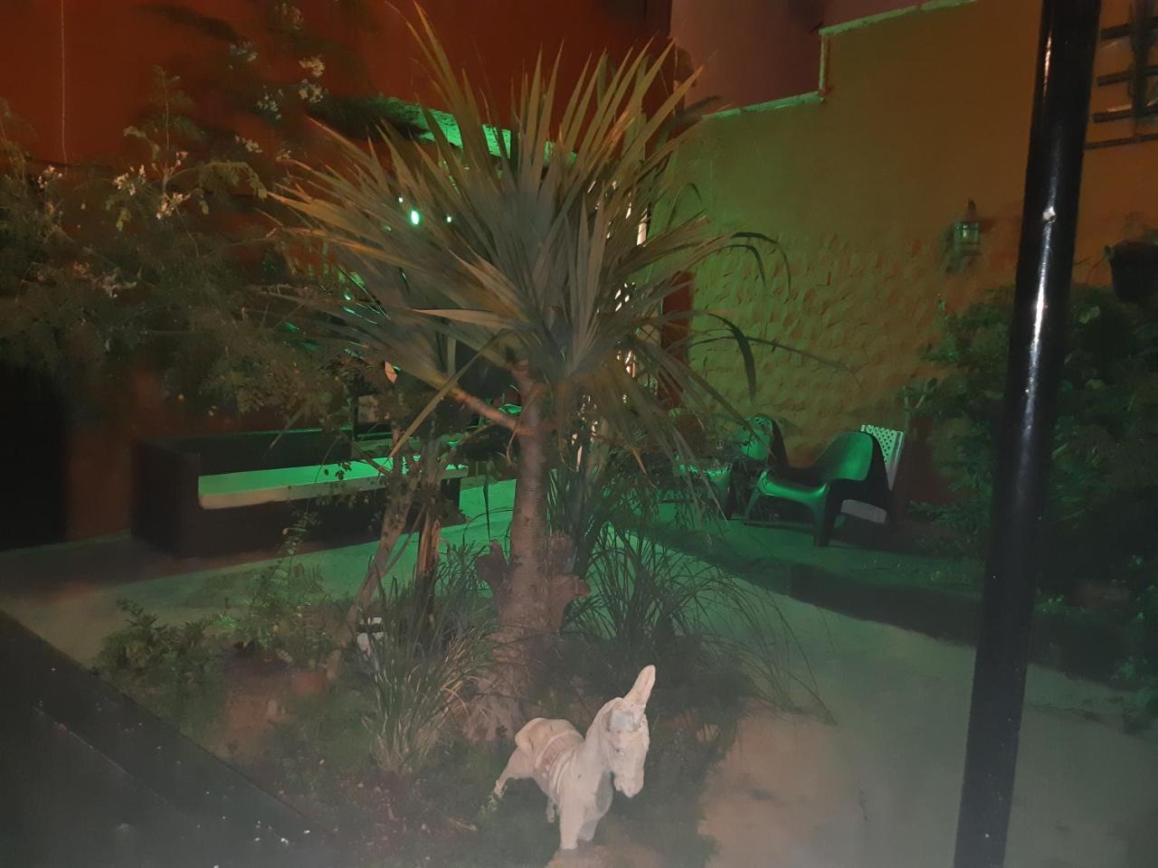 El Burro Casa rural *